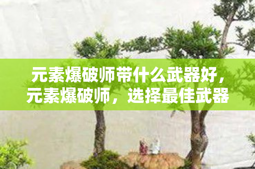 元素爆破师带什么武器好,元素爆破师,选择最佳武器的艺术 元素爆破师带什么武器好,元素爆破师,选择最佳武器的艺术