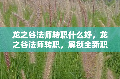 龙之谷法师转职什么好，龙之谷法师转职，解锁全新职业，探索魔法世界的奥秘