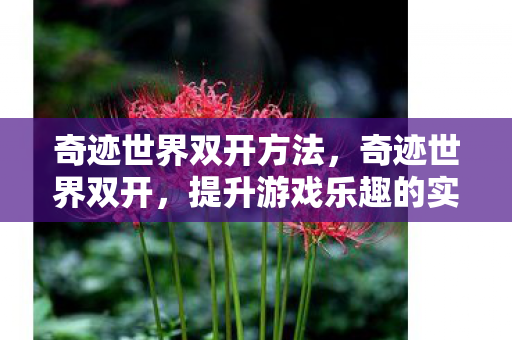 奇迹世界双开方法，奇迹世界双开，提升游戏乐趣的实用指南