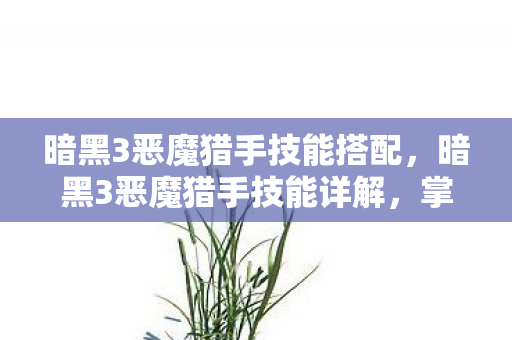 暗黑3恶魔猎手技能搭配，暗黑3恶魔猎手技能详解，掌握猎魔人的战斗艺术