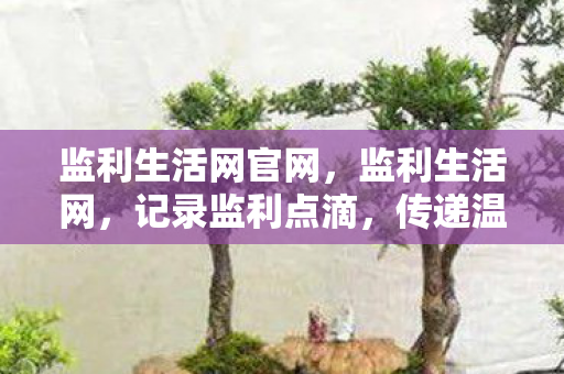 监利生活网官网，监利生活网，记录监利点滴，传递温暖力量