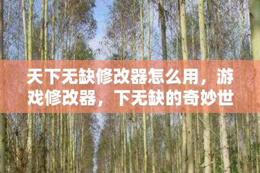 天下无缺修改器怎么用,游戏修改器,下无缺的奇妙世界 天下无缺修改器怎么用,游戏修改器,下无缺的奇妙世界