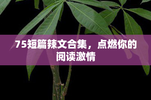 75短篇辣文合集,点燃你的阅读激情 75短篇辣文合集,点燃你的阅读激情