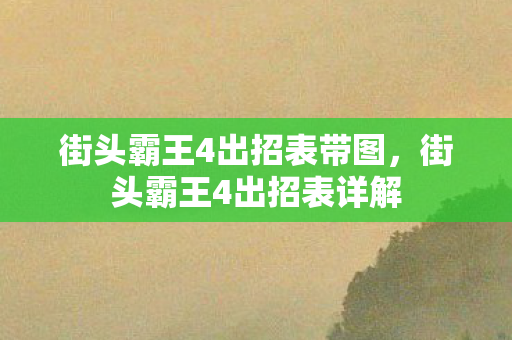 街头霸王4出招表带图，街头霸王4出招表详解