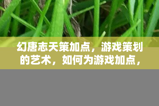 幻唐志天策加点，游戏策划的艺术，如何为游戏加点，提升玩家体验