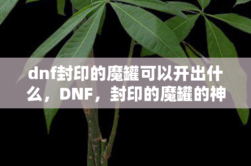 dnf封印的魔罐可以开出什么，DNF，封印的魔罐的神秘与魅力