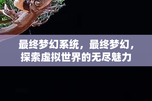 最终梦幻系统,最终梦幻,探索虚拟世界的无尽魅力 最终梦幻系统,最终梦幻,探索虚拟世界的无尽魅力