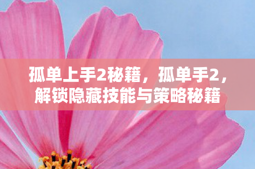 孤单上手2秘籍，孤单手2，解锁隐藏技能与策略秘籍
