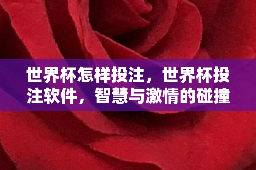 世界杯怎样投注，世界杯投注软件，智慧与激情的碰撞