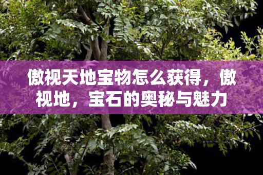 傲视天地宝物怎么获得，傲视地，宝石的奥秘与魅力