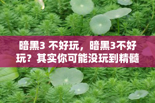 暗黑3 不好玩，暗黑3不好玩？其实你可能没玩到精髓