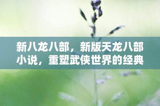 新八龙八部,新版天龙八部小说,重塑武侠世界的经典之作 新八龙八部,新版天龙八部小说,重塑武侠世界的经典之作
