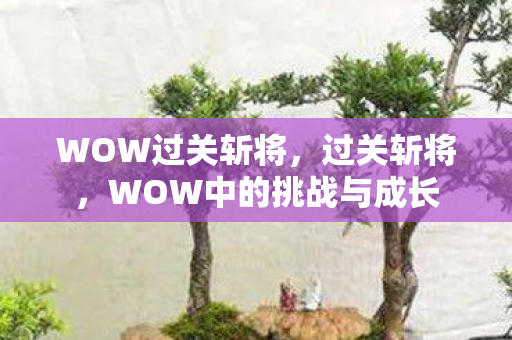 WOW过关斩将，过关斩将，WOW中的挑战与成长