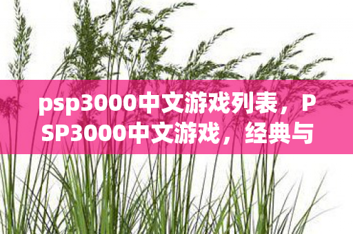 psp3000中文游戏列表，PSP3000中文游戏，经典与回忆的交织