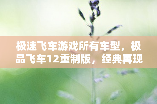 极速飞车游戏所有车型,极品飞车12重制版,经典再现,速度与激情的盛宴 极速飞车游戏所有车型,极品飞车12重制版,经典再现,速度与激情的盛宴