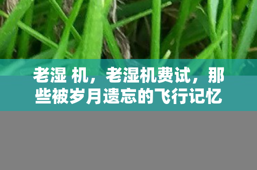老湿 机，老湿机费试，那些被岁月遗忘的飞行记忆