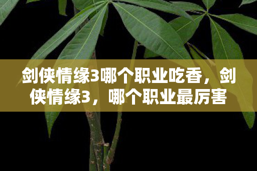 剑侠情缘3哪个职业吃香，剑侠情缘3，哪个职业最厉害？