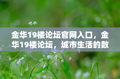 金华19楼论坛官网入口,金华19楼论坛,城市生活的数字桥梁 金华19楼论坛官网入口,金华19楼论坛,城市生活的数字桥梁