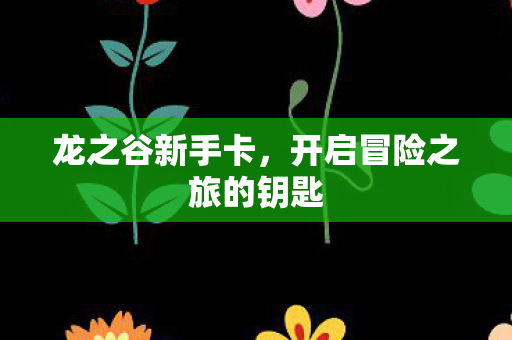 龙之谷新手卡，开启冒险之旅的钥匙