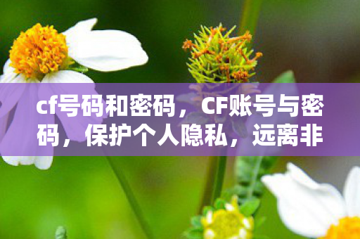 cf号码和密码,CF账号与密码,保护个人隐私,远离非法获取 cf号码和密码,CF账号与密码,保护个人隐私,远离非法获取