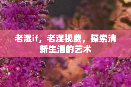 老湿if,老湿视费,探索清新生活的艺术 老湿if,老湿视费,探索清新生活的艺术
