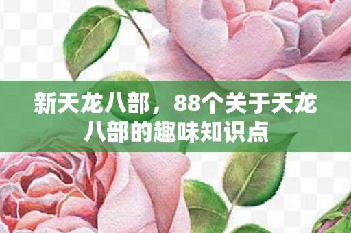 新天龙八部，88个关于天龙八部的趣味知识点