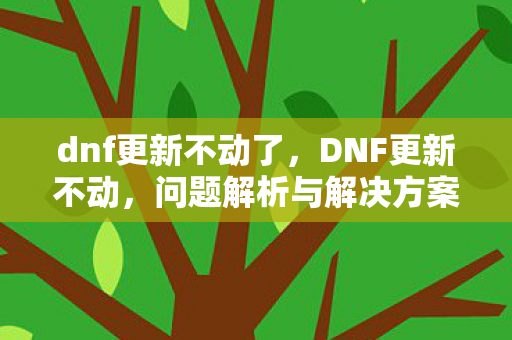 dnf更新不动了，DNF更新不动，问题解析与解决方案