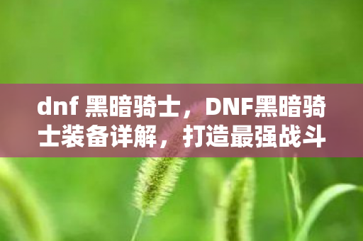 dnf 黑暗骑士，DNF黑暗骑士装备详解，打造最强战斗力的必备指南