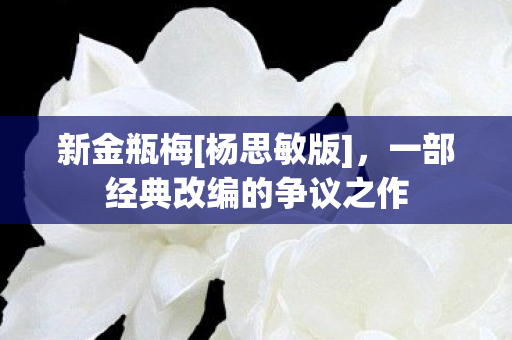 新金瓶梅[杨思敏版]，一部经典改编的争议之作
