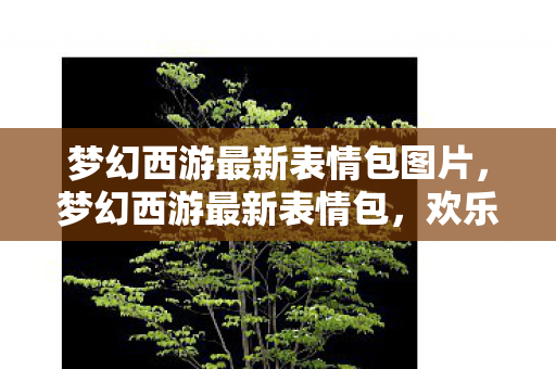 梦幻西游最新表情包图片，梦幻西游最新表情包，欢乐与怀旧并存