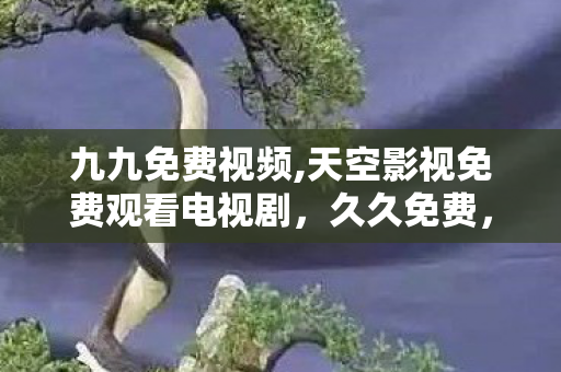 九九免费视频,天空影视免费观看电视剧，久久免费，探索互联网时代的免费资源之旅