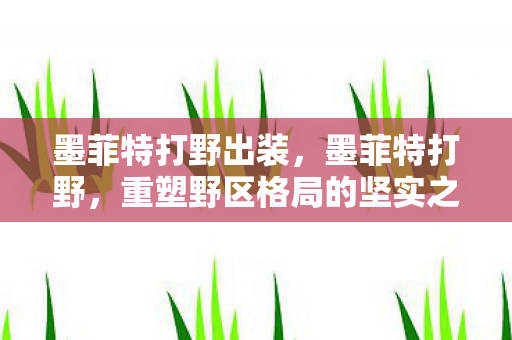 墨菲特打野出装,墨菲特打野,重塑野区格局的坚实之石 墨菲特打野出装,墨菲特打野,重塑野区格局的坚实之石