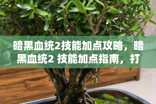 暗黑血统2技能加点攻略,暗黑血统2 技能加点指南,打造你的终极战士 暗黑血统2技能加点攻略,暗黑血统2 技能加点指南,打造你的终极战士