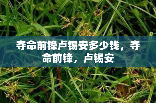 夺命前锋卢锡安多少钱，夺命前锋，卢锡安