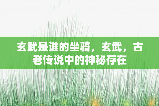 玄武是谁的坐骑,玄武,古老传说中的神秘存在 玄武是谁的坐骑,玄武,古老传说中的神秘存在