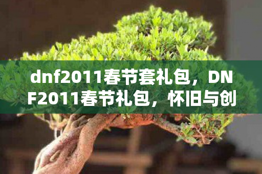 dnf2011春节套礼包，DNF2011春节礼包，怀旧与创新的完美结合