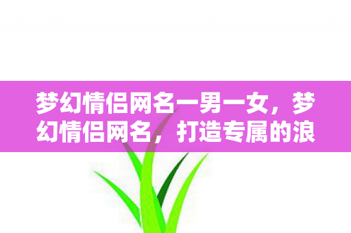 梦幻情侣网名一男一女,梦幻情侣网名,打造专属的浪漫标识 梦幻情侣网名一男一女,梦幻情侣网名,打造专属的浪漫标识