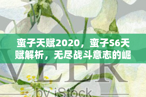 蛮子天赋2020，蛮子S6天赋解析，无尽战斗意志的崛起