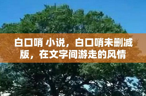 白口哨 小说，白口哨未删减版，在文字间游走的风情