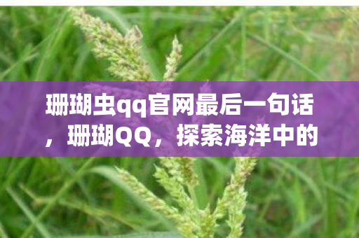 珊瑚虫qq官网最后一句话，珊瑚QQ，探索海洋中的神秘生物