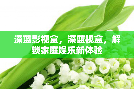 深蓝影视盒,深蓝视盒,解锁家庭娱乐新体验 深蓝影视盒,深蓝视盒,解锁家庭娱乐新体验