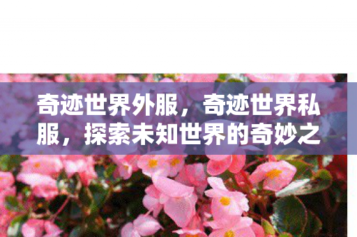奇迹世界外服，奇迹世界私服，探索未知世界的奇妙之旅