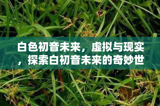 白色初音未来,虚拟与现实,探索白初音未来的奇妙世界 白色初音未来,虚拟与现实,探索白初音未来的奇妙世界