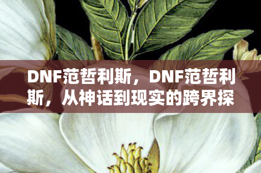 DNF范哲利斯,DNF范哲利斯,从神话到现实的跨界探索 DNF范哲利斯,DNF范哲利斯,从神话到现实的跨界探索