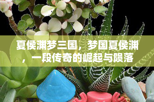 夏侯渊梦三国,梦国夏侯渊,一段传奇的崛起与陨落 夏侯渊梦三国,梦国夏侯渊,一段传奇的崛起与陨落