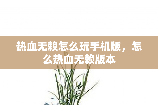 热血无赖怎么玩手机版，怎么热血无赖版本