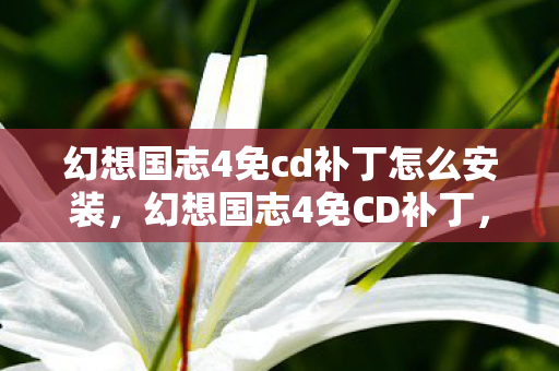 幻想国志4免cd补丁怎么安装,幻想国志4免CD补丁,解锁游戏乐趣的便捷之道 幻想国志4免cd补丁怎么安装,幻想国志4免CD补丁,解锁游戏乐趣的便捷之道
