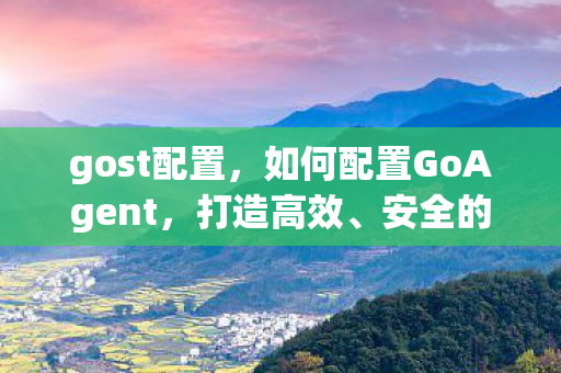 gost配置,如何配置GoAgent,打造高效、安全的代理服务器 gost配置,如何配置GoAgent,打造高效、安全的代理服务器