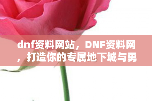 dnf资料网站,DNF资料网,打造你的专属地下城与勇士攻略站 dnf资料网站,DNF资料网,打造你的专属地下城与勇士攻略站