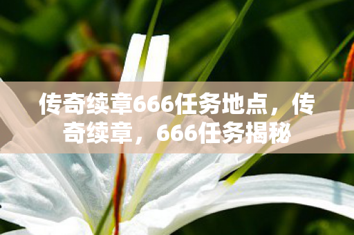 传奇续章666任务地点，传奇续章，666任务揭秘